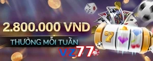 vz77